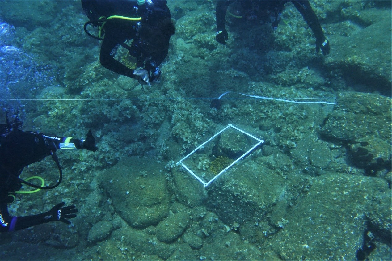 Dive Science The first educational cycle on Scientific Diving has been completed ...
